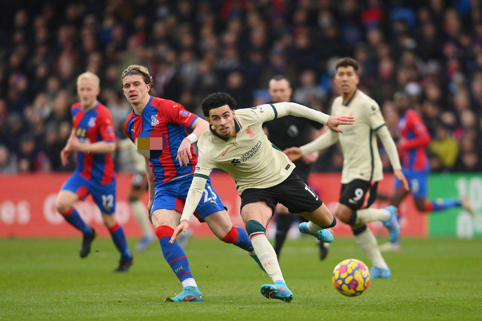 前围棋界的 前围棋界的